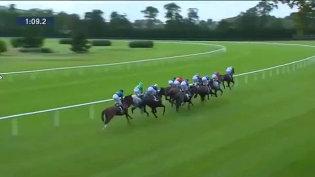 QIPCO Irish Champion Stakes 2017 - Decorated Knight смотреть онлайн