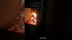 Дрова VS топливные брикеты "Пини Кей". Сравнительный тест.