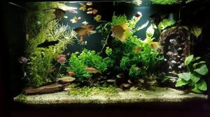 Аквариум на 240 литров,самодельный пескопад
