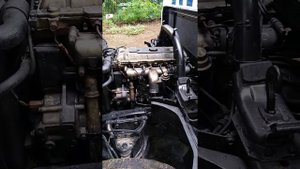 4M51 convert to manual VE pump...