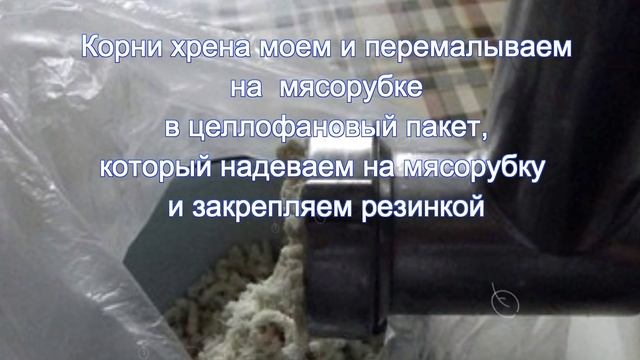 Готовим острый хрен, заготовки на зиму