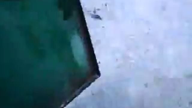 печь Бубафоня №3 смотреть онлайн