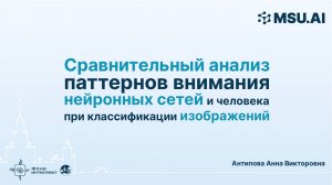 Сравнительный анализ паттернов внимания нейронных сетей и человека при классификации изображений