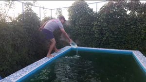 Как убрать зелень в бассейне?