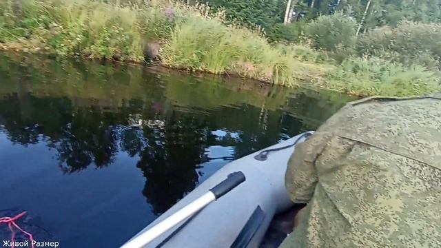 Спиннинг на реках Вытегории смотреть онлайн