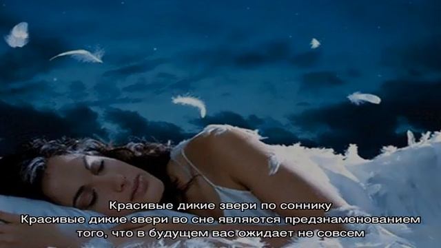 «Сонник дикие Звери приснились, к чему снятся во сне дикие Звери» смотреть онлайн