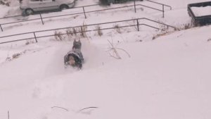 dob Family present... Жизнь с доберманом. Собака в квартире.