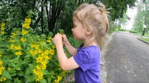 Видео для детей | Гуляем в парке: детская площадка, старый военный автомобиль и Синий Трактор