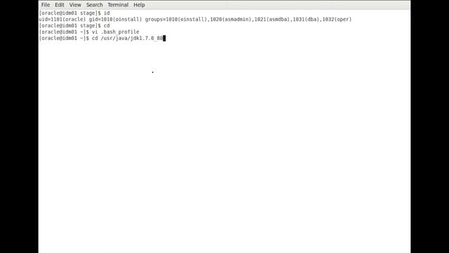 [HD] Instalando JDK 7U80 en #Linux. смотреть онлайн
