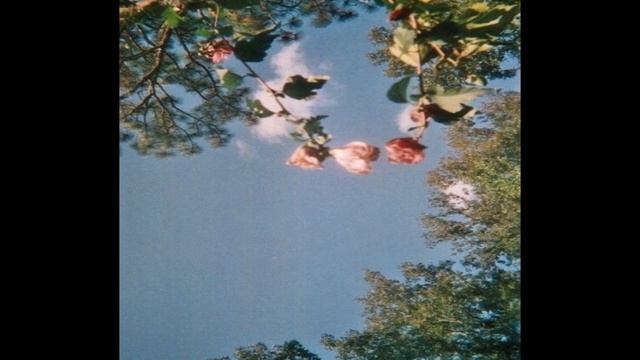 [FREE] *GUITAR* Trippie Redd x Juice WRLD Type Beat 2020 | "PTV" (Prod. Tsurreal x rossgossage) смотреть онлайн