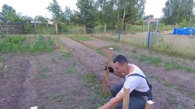 Бюджетная шпалера для гороха своими руками! Быстро и просто! Из Столицы в Деревню!