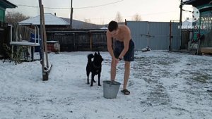 Красноярск.8 ноября 2023 Закаливание холодной водой. Обливание из ведра.