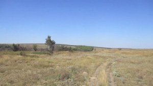 Опустевшее село Киево-Полтавка, Татищевский район