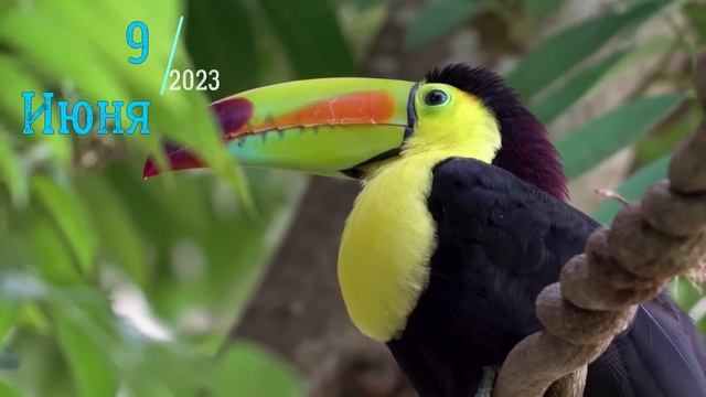 9 ИЮНЯ 2023 ЧТО НЕЛЬЗЯ ДЕЛАТЬ,НАРОДНЫЕ ПРИМЕТЫ,ЧТО МОЖНО ДЕЛАТЬ