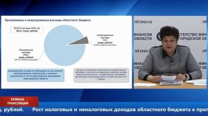 Публичные слушания по проекту закона Нижегородской области об областном бюджете на 2022-2024 годы