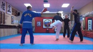 Hapkido kicks