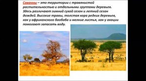 Природные зоны Земли. География 7 класс