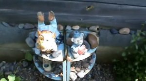 Наша дача в Железногорске Красноярского края