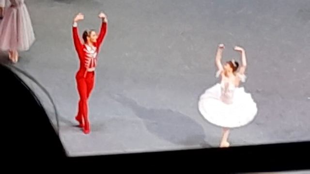 Шедевр Большого театра: "Адажио" из балета "Щелкунчик" 6 января 2023 года смотреть онлайн