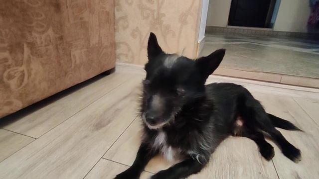 Любовь творит чудеса ♥️♥️♥️