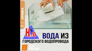 ФинистТест. 01. Кромка.