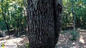 Джиппинг-тур "Шапсугский треугольник" - Шапсугская (Шапсуга)