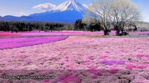 10 Самых красивых парков мира