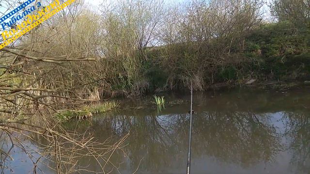 Вирішив перевірити активність окуня на мікро річці! Спінінгова риболовля в травні смотреть онлайн