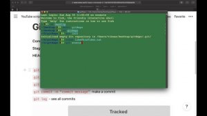 Git basics commands #3.1