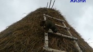 ДОМ ИЗ СЕНА