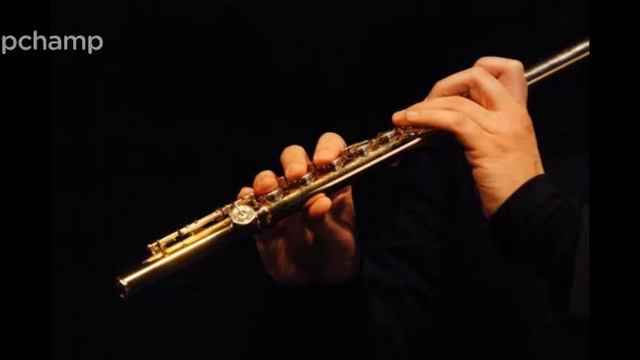 Giuseppe Gariboldi (1833 - 1905) "Capriccio su un tema arabo" смотреть онлайн