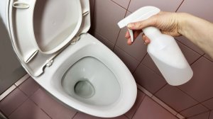 Больше не трачу весь выходной на очищение унитаза и раковины, всё дело в моем волшебном спрее