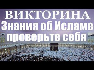 ВИКТОРИНА: ЗНАНИЯ ОБ ИСЛАМЕ.  Проверьте себя.  ВАЙНАЬХ ДОГ в прямом эфире!