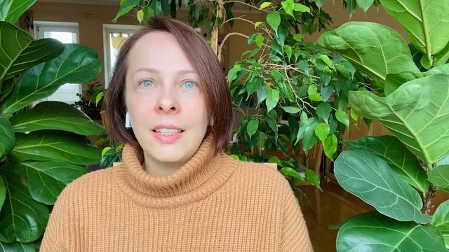 Как выйти из программы жертвы? Три ключа к созиданию жизни