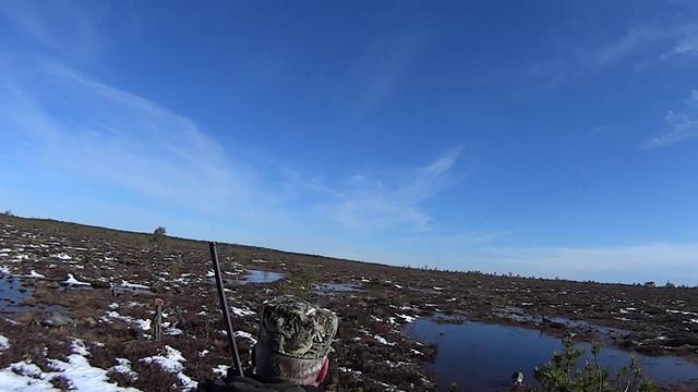 Весенняя охота на гуся!.mp4 смотреть онлайн