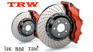 Skoda rapid. Мнение о колодках trw, как Шкода тормозит.