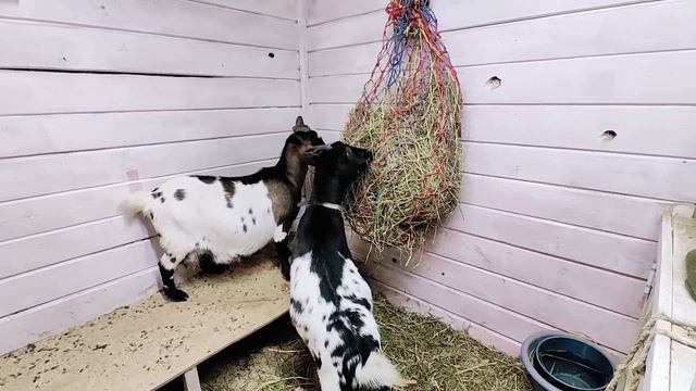 Желаем радоваться жизни!