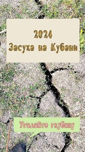 Замеряю глубину трещины в земле – Неслыханная жара на Кубани – Катаклизмы 2024 года