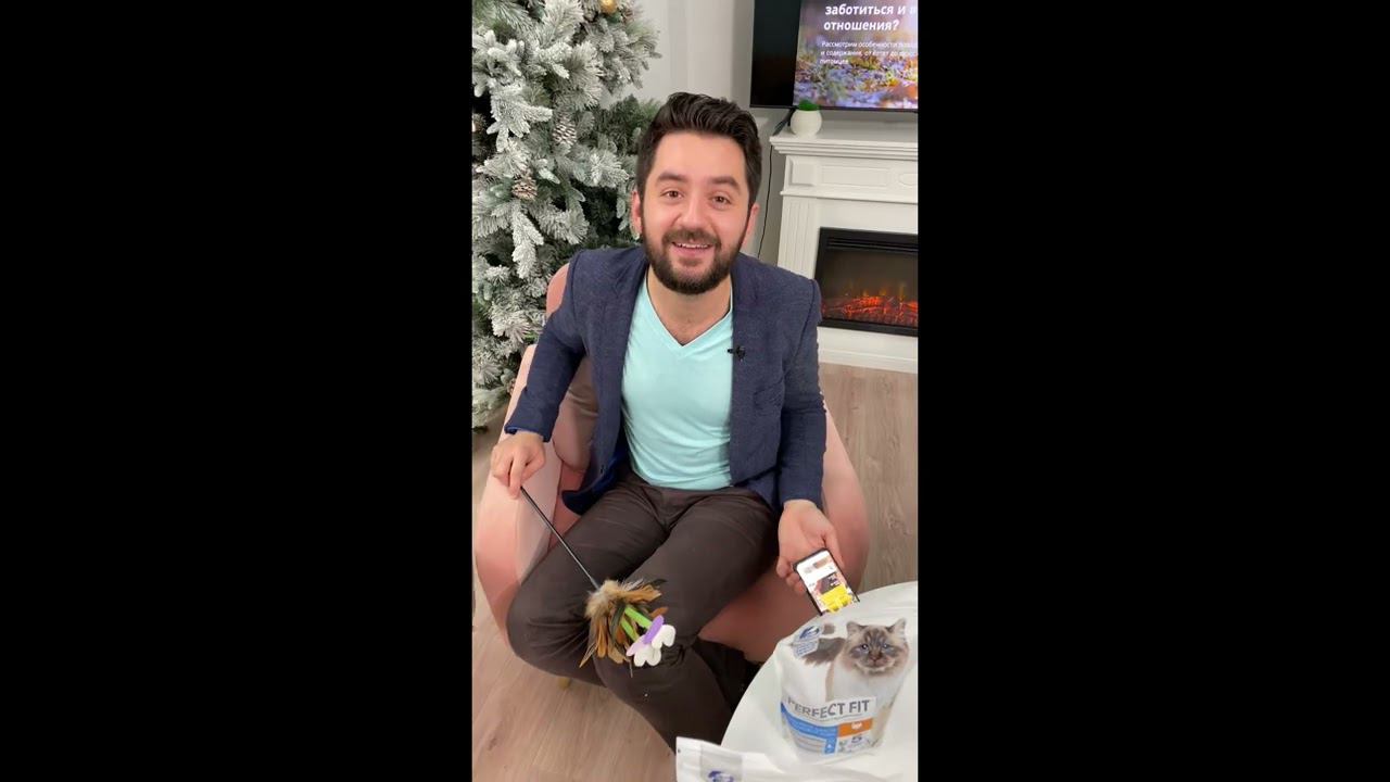 Perfect fit 29 ноября 2022