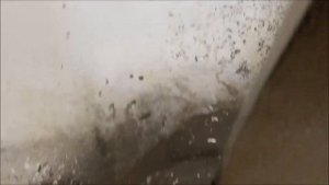 Лайфхак - из ванны сделать поддон для душа.