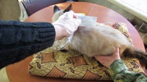 Препарат-капли от блох Stronghold