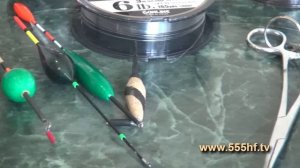 Линь  Узнаем об этой рыбе.