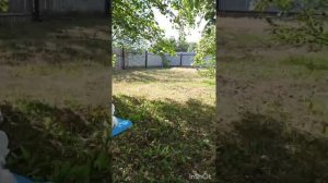 Усадьба в деревне Подкорытова, Каслинский район. Озеро Юлаш.