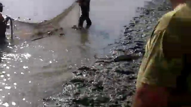 рыбалка бреднем смотреть онлайн