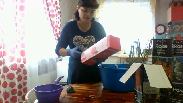 Как сохранить купленные зимой розы до мая? смотреть онлайн