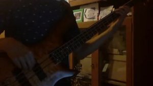 скоро стану я седым и старым (Бас кавер)