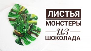 Шоколадные листья монстеры для декора торта