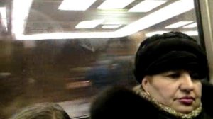 Перегон Чертановская - Бульвар Дмитрия Донского