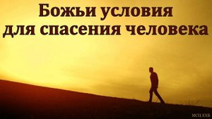 "Божий путь спасения". А. А. Шамне. МСЦ ЕХБ