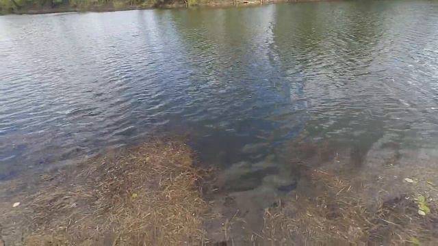 Китайская рудра в деле. Весенний спиннинг смотреть онлайн